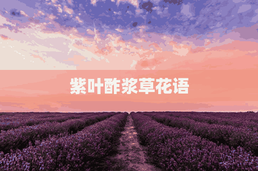 紫叶酢浆草花语